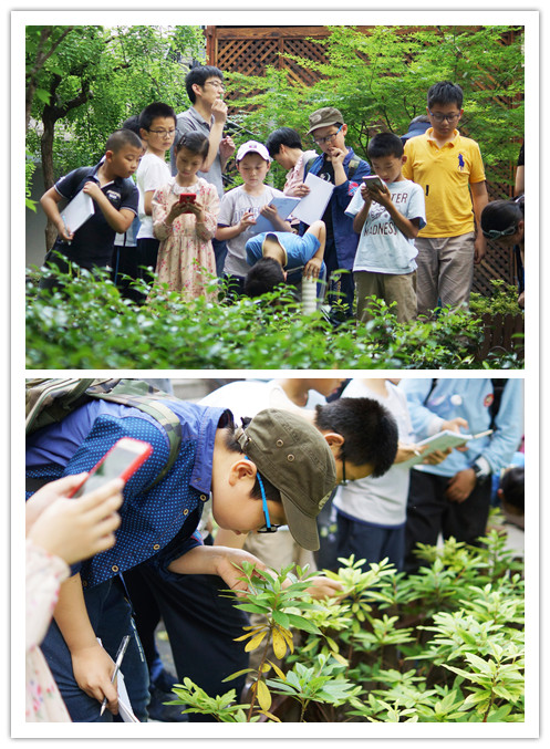 <a href='/d8/da/c49608a710874/page.htm' target='_self' title='一花一叶一世界——华东师大科创学堂“小小探险家”活动圆满结束'>一花一叶一世界——华东师大科创学堂“小小探险家”活动圆满结束</a>